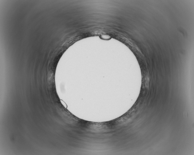 X0000110910521200907301544