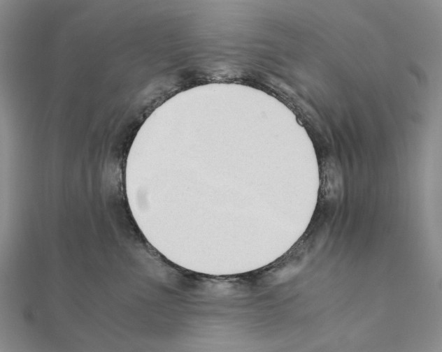 X0000110910523200907301544