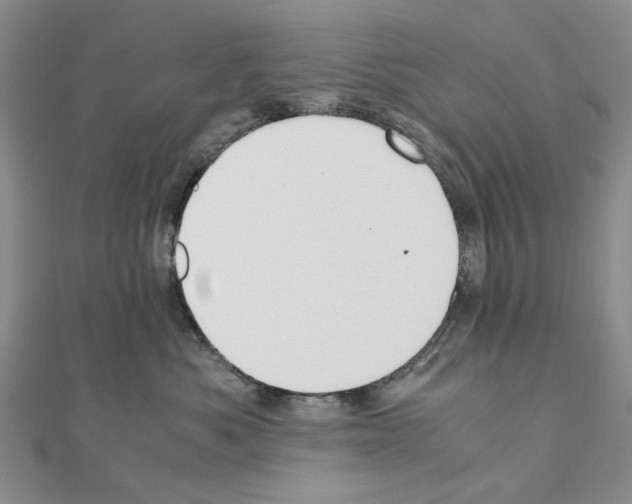 X0000110910525200907301544