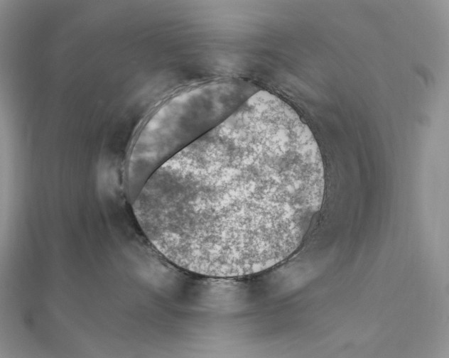 X0000110910528200907301544