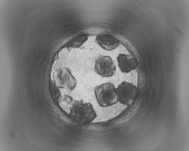 X0000110910529200907301543