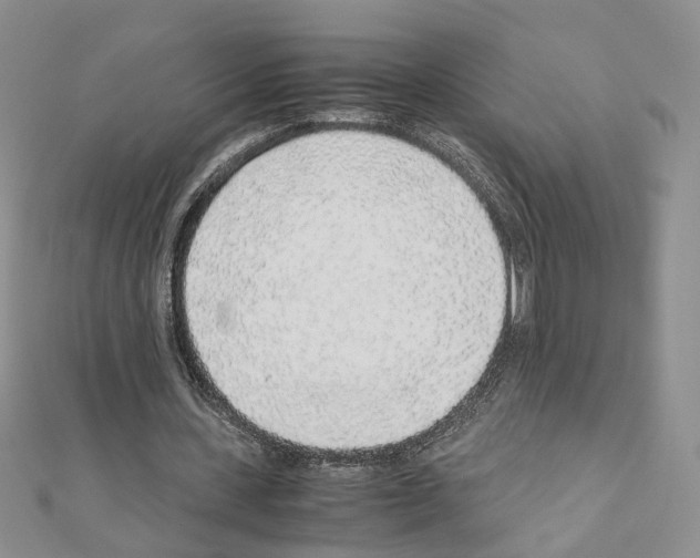 X0000110910531200907301544