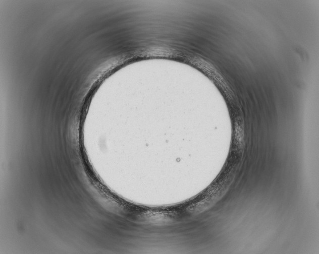 X0000110910534200907301544