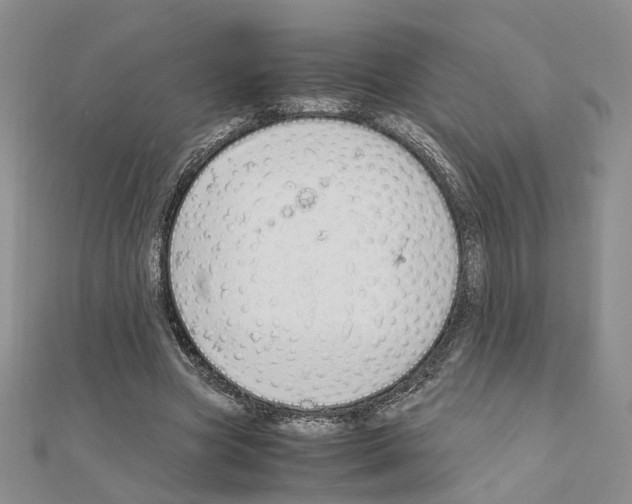 X0000110910537200907301544