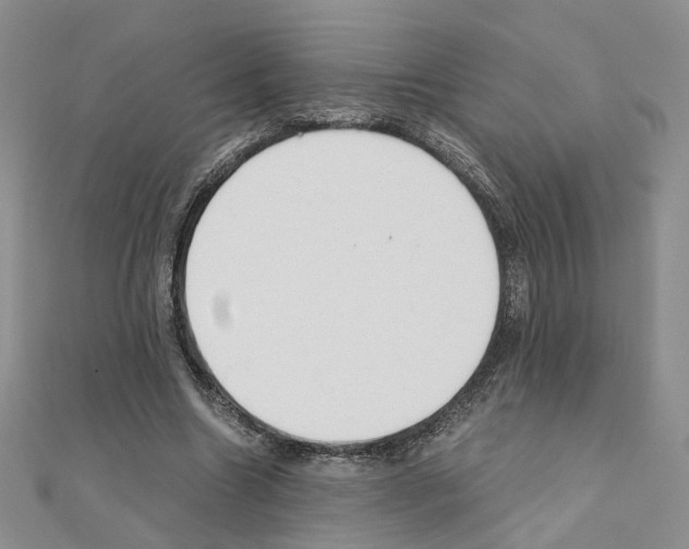 X0000110910538200907301544