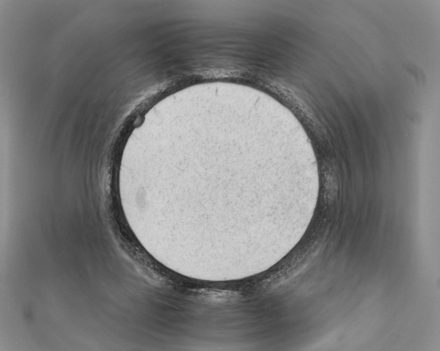 X0000110910539200907301544