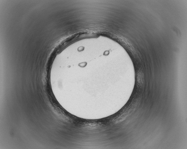 X0000110910540200907301544