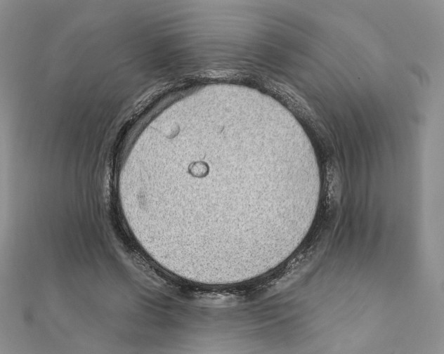 X0000110910542200907301544