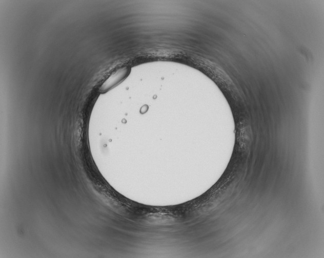 X0000110910544200907301544