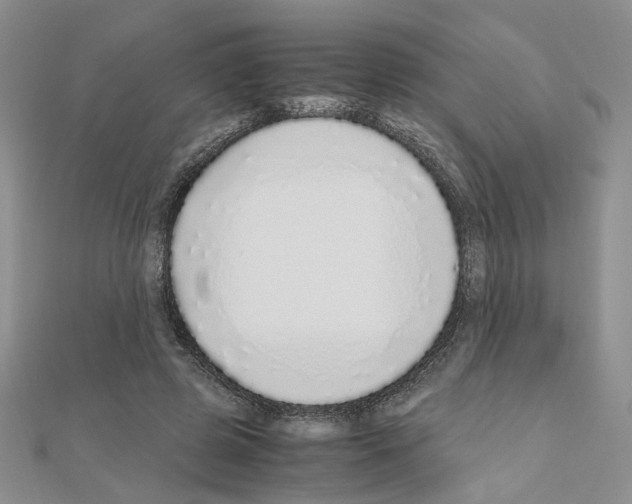 X0000110910545200907301544