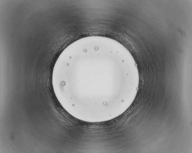 X0000110910546200907301544