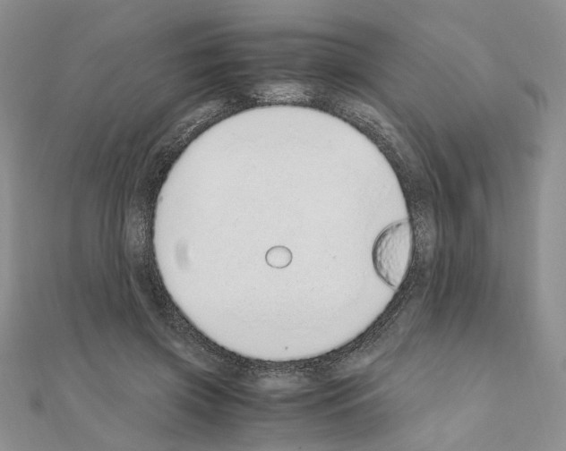 X0000110910549200907301544