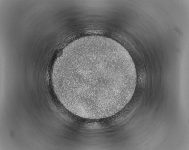 X0000110910551200907301544