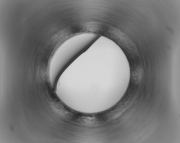 X0000110910552200907301544