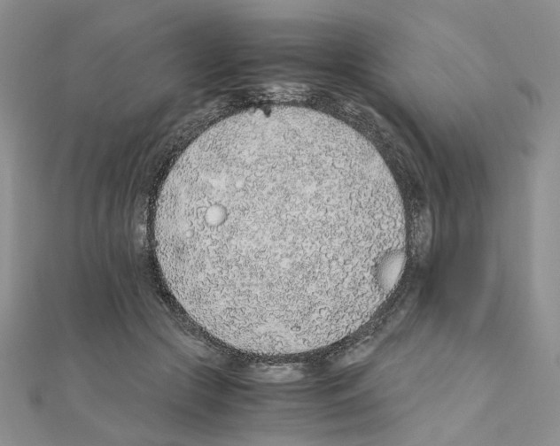 X0000110910553200907301544