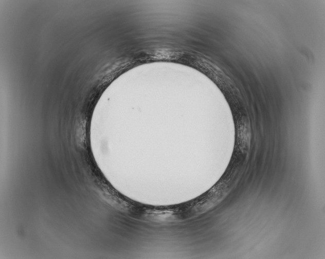 X0000110910554200907301544