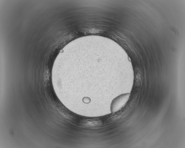 X0000110910555200907301544