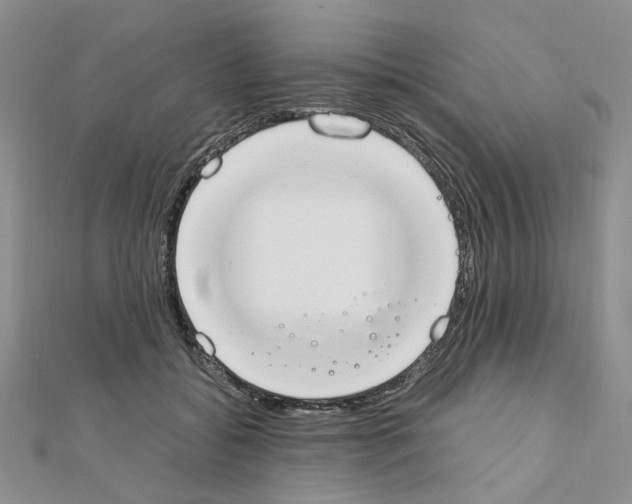 X0000110910556200907301544