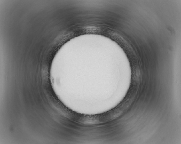 X0000110910557200907301544