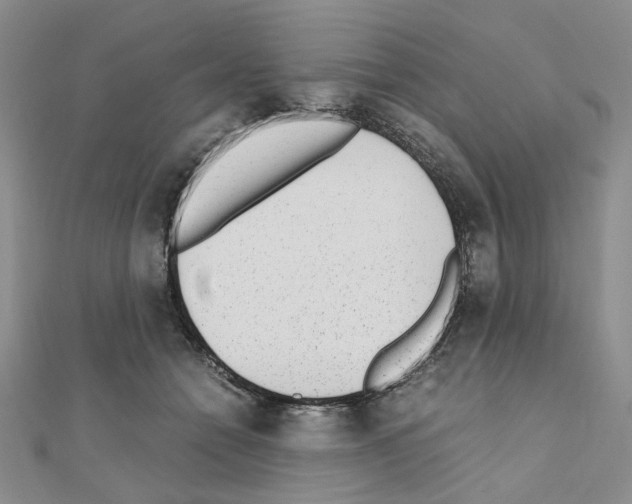 X0000110910558200907301544