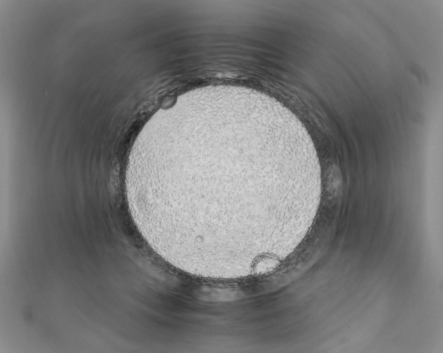 X0000110910559200907301544