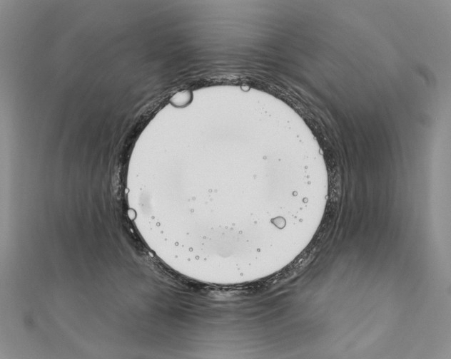 X0000110910560200907301544