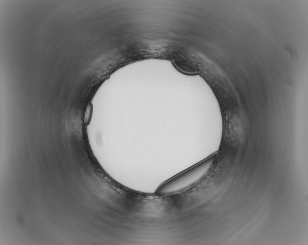 X0000110910562200907301544