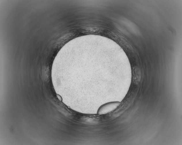 X0000110910563200907301544