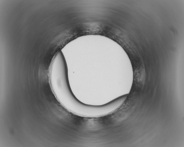 X0000110910564200907301544