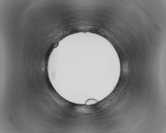 X0000110910567200907301544