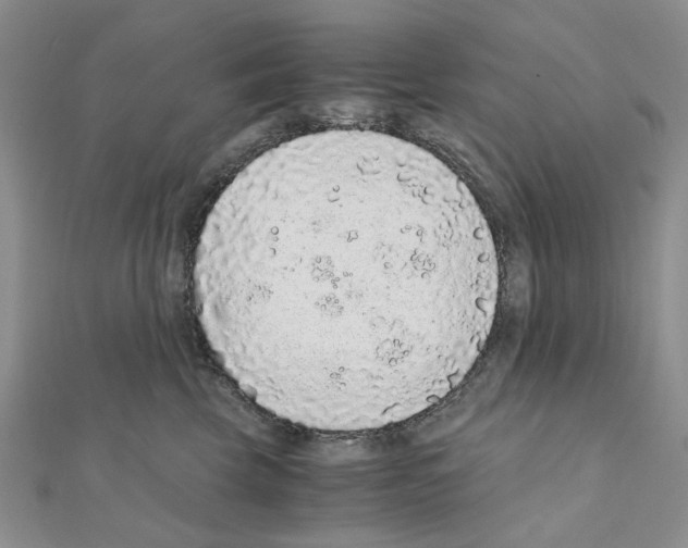 X0000110910569200907301544