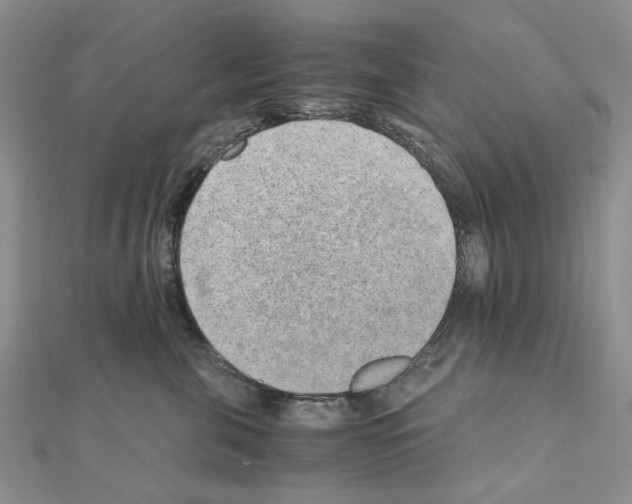 X0000110910571200907301544