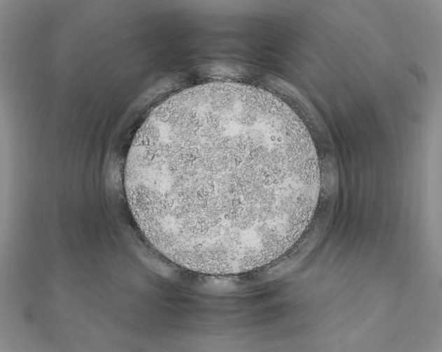 X0000110910573200907301544