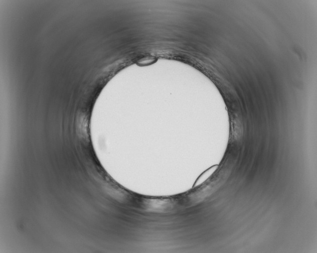 X0000110910575200907301544