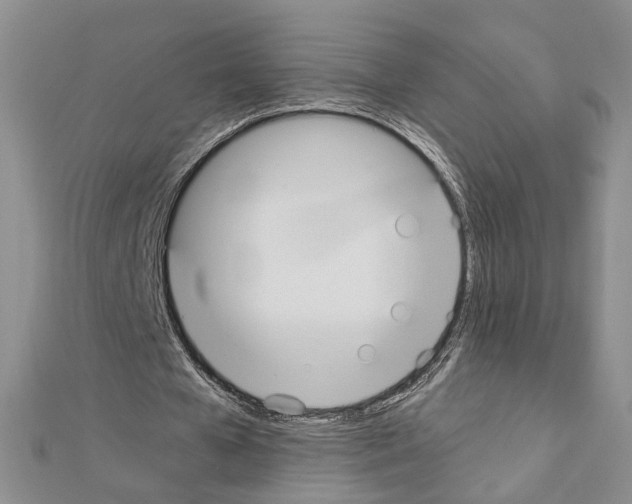 X0000110910577200907301543