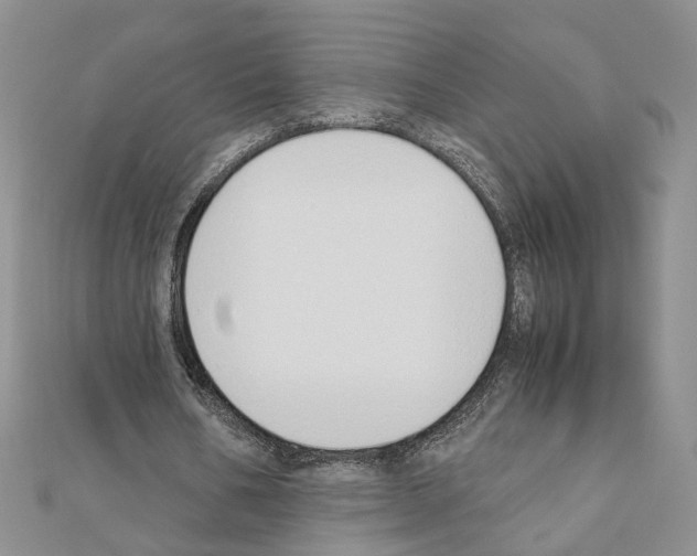 X0000110910578200907301543