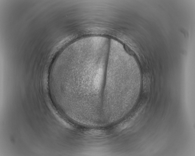 X0000110910581200907301543