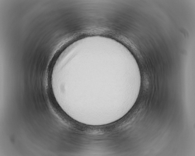 X0000110910582200907301543