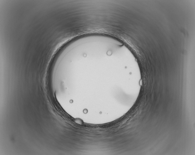 X0000110910583200907301543