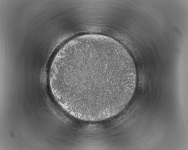 X0000110910584200907301543