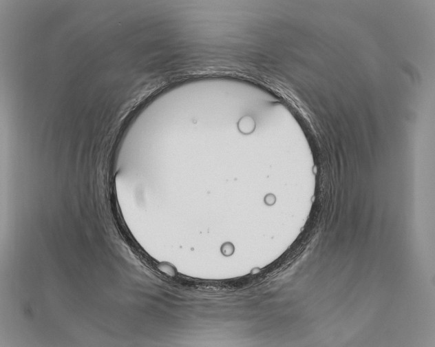 X0000110910585200907301543