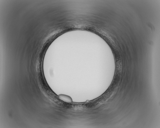 X0000110910587200907301543