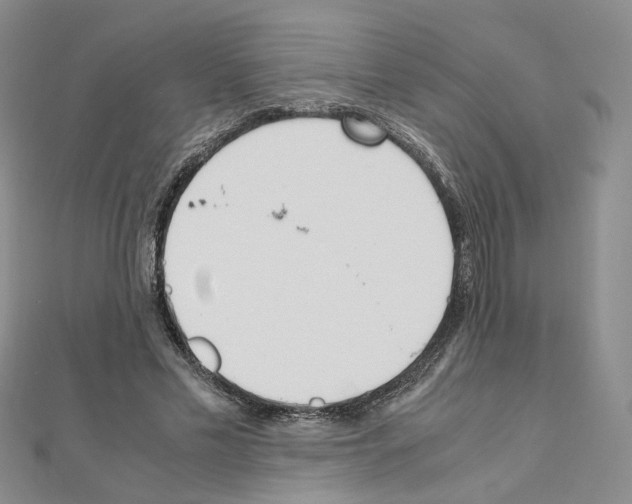 X0000110910589200907301543