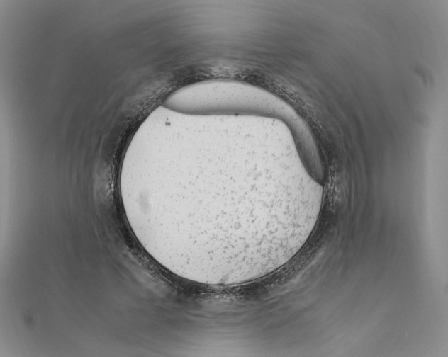 X0000110910593200907301543