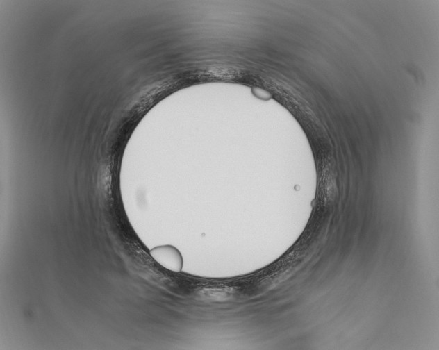 X0000110910595200907301543