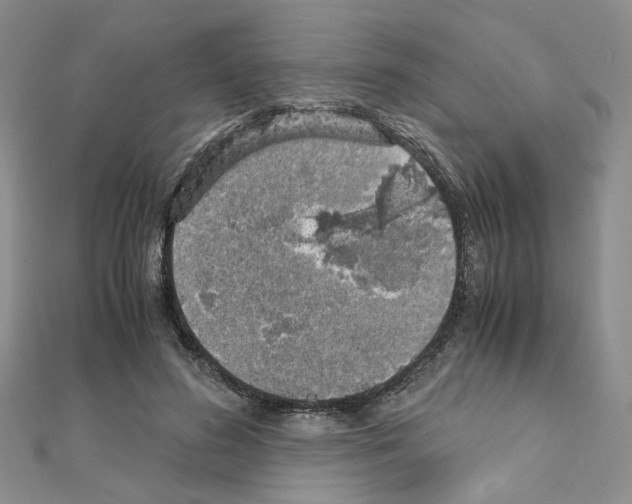 X0000110910596200907301543