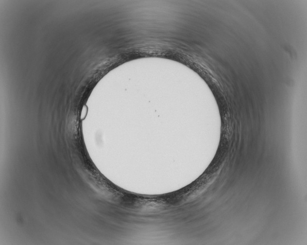 X0000110910597200907301543