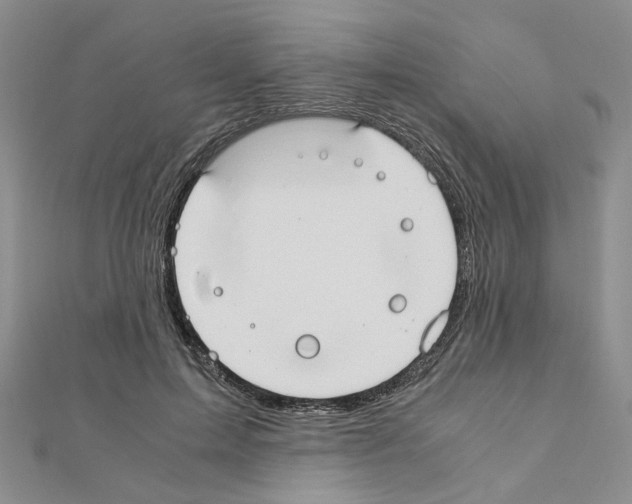 X0000110910599200907301543