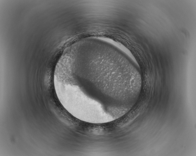 X0000110910600200907301543