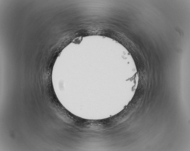 X0000110910601200907301543